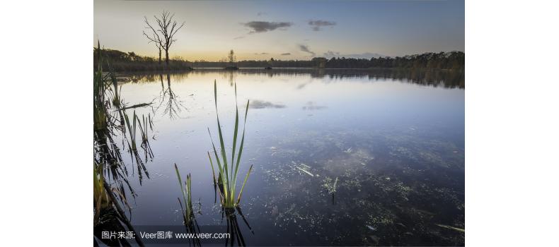 水產(chǎn)養(yǎng)殖過程中亞硝酸鹽之用藥總結(jié)